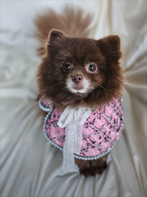 초코