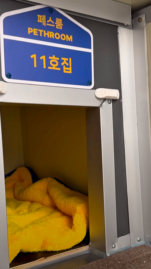 집 지어주기